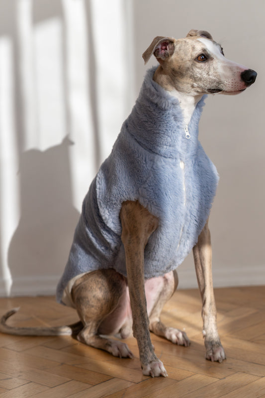 Woolen Dog Vest - Blue